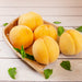 Japanese Golden Peach (Case) (1box)