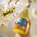 Buy 2 for HK$395 - SAICHO Sparkling Tea Gift Pack - Jasmine  (750mL)