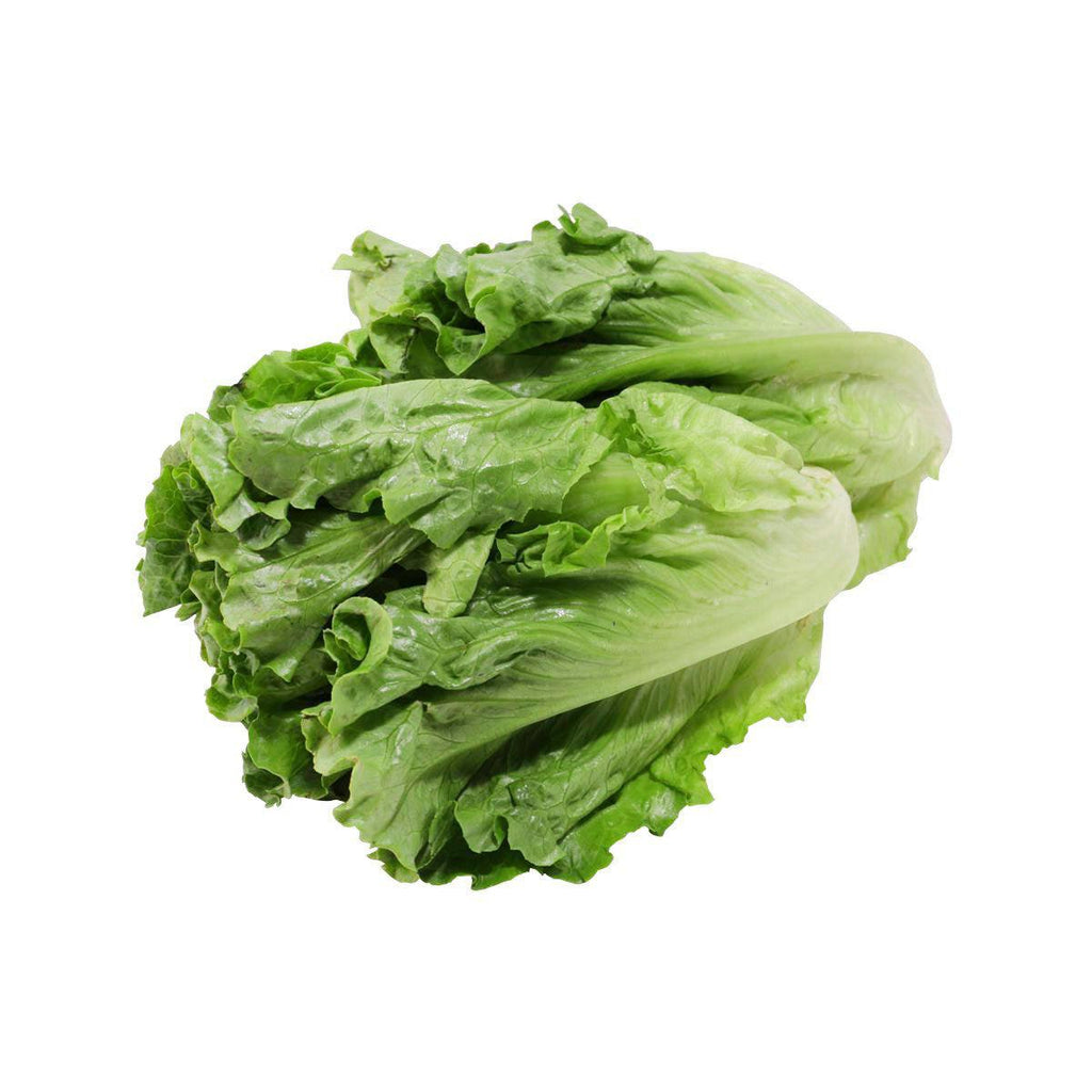 Chinese Organic Lettuce - No Chemical Pesticide And Fertilizers Used  (250g)