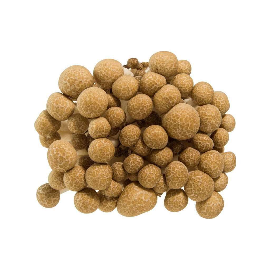 日本鴻喜菇  (100g)