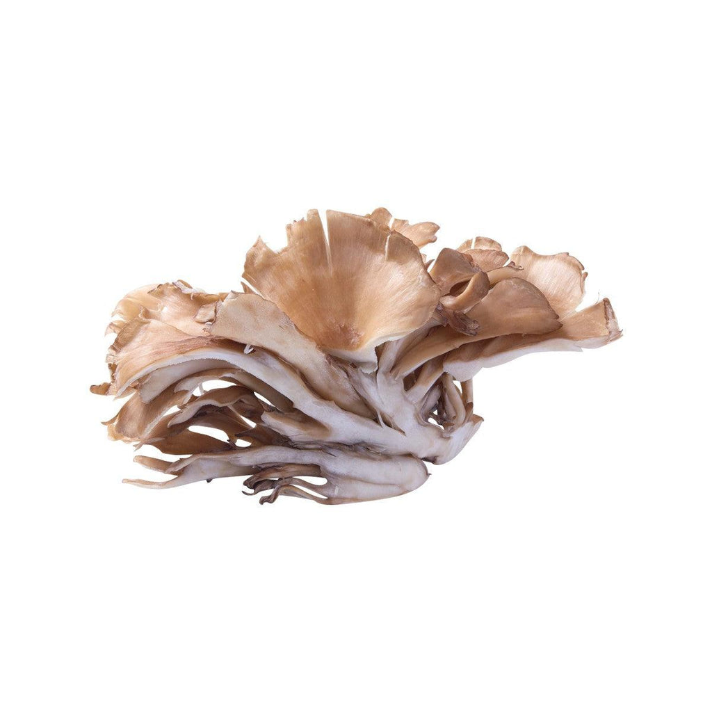 日本舞菇 (細)  (70g)