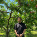 Japan Yamanashi Naito Farm Peach (Case) (1box)