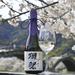 DASSAI 23 Junmai Daiginjo  (720mL)