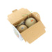 Japan Melon Gift Box - Dual color (2pc/box, 1pc Green flesh, 1 pc red flesh)